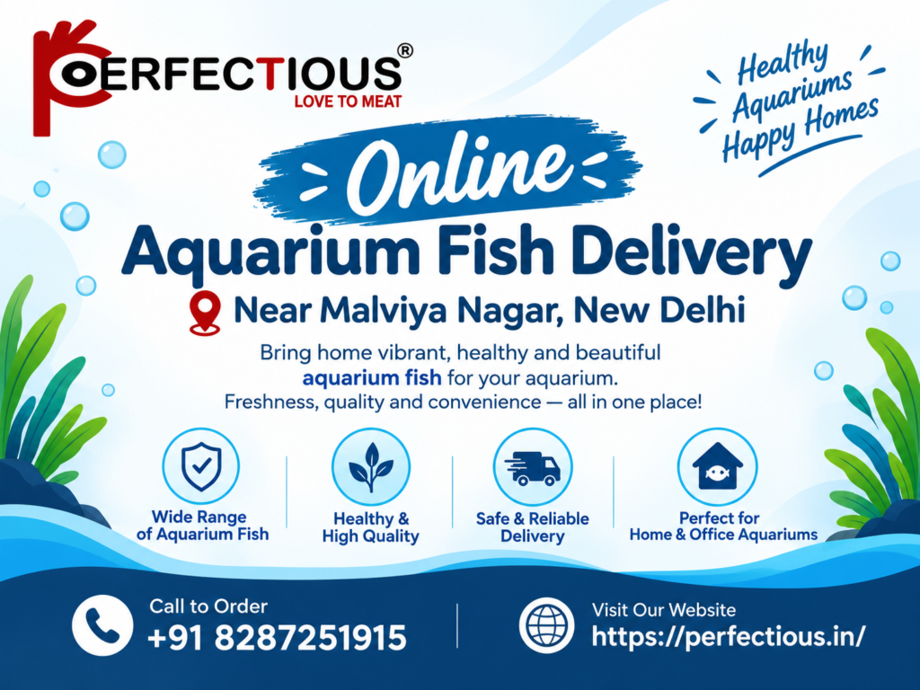 Online Aquarium Fish Delivery Near Malviya Nagar, New Delhi